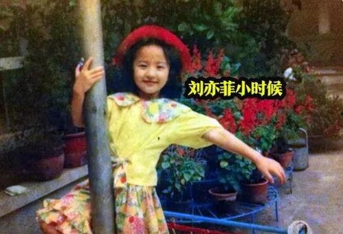 刘亦菲被爆料视频在线,真相究竟如何? 第2张 刘亦菲被爆料视频在线,真相究竟如何? 第2张